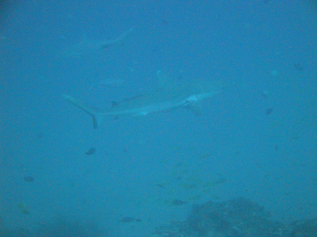 DSC00312.JPG