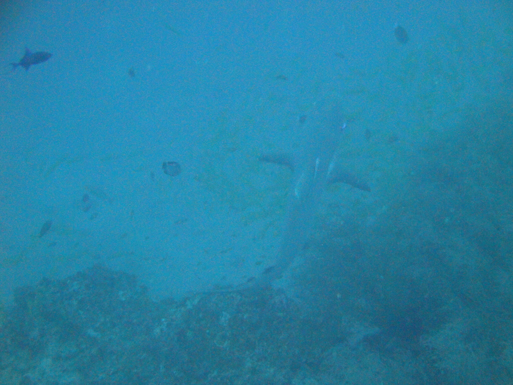 DSC00314.JPG