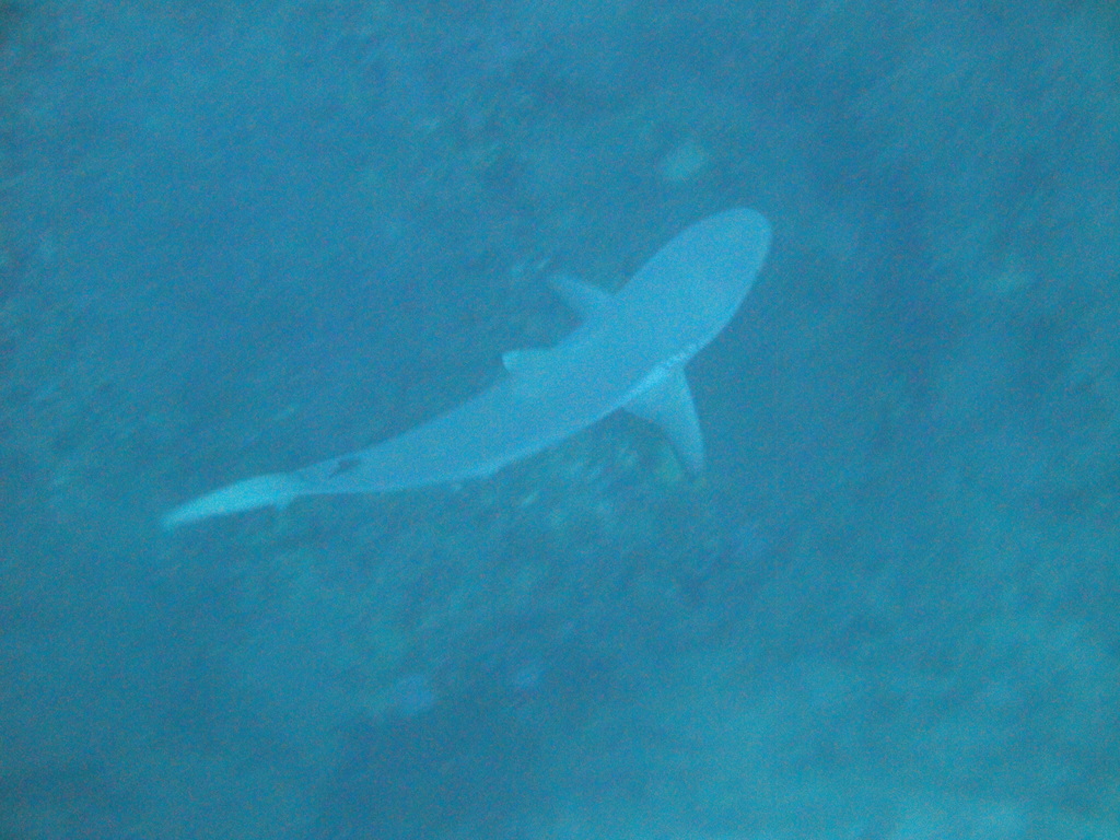 DSC00318.JPG