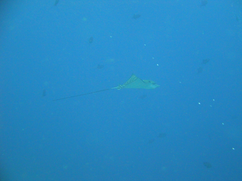 DSC00324.JPG