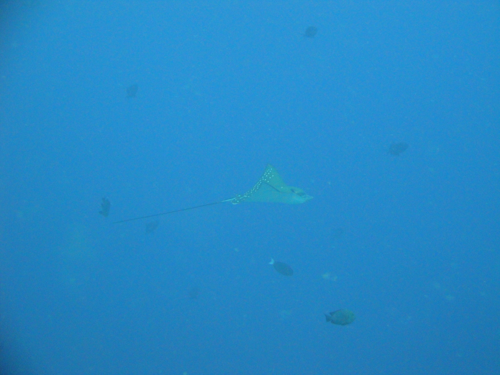 DSC00325.JPG