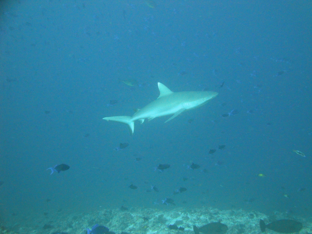 DSC00487.JPG