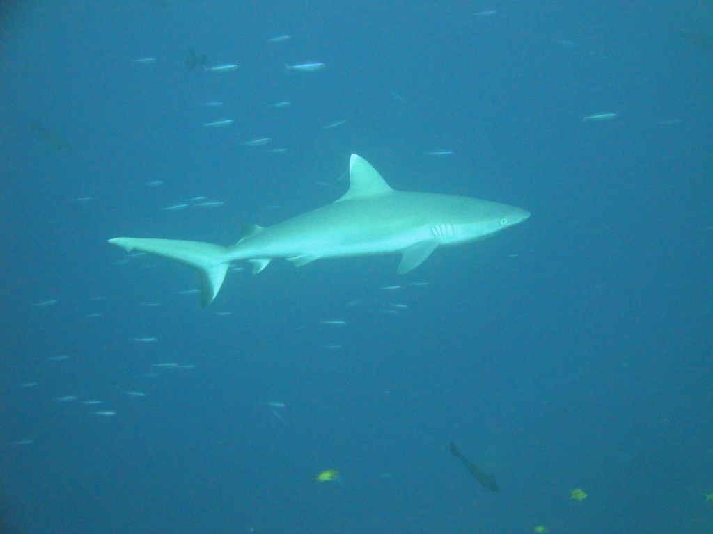 DSC00488.JPG