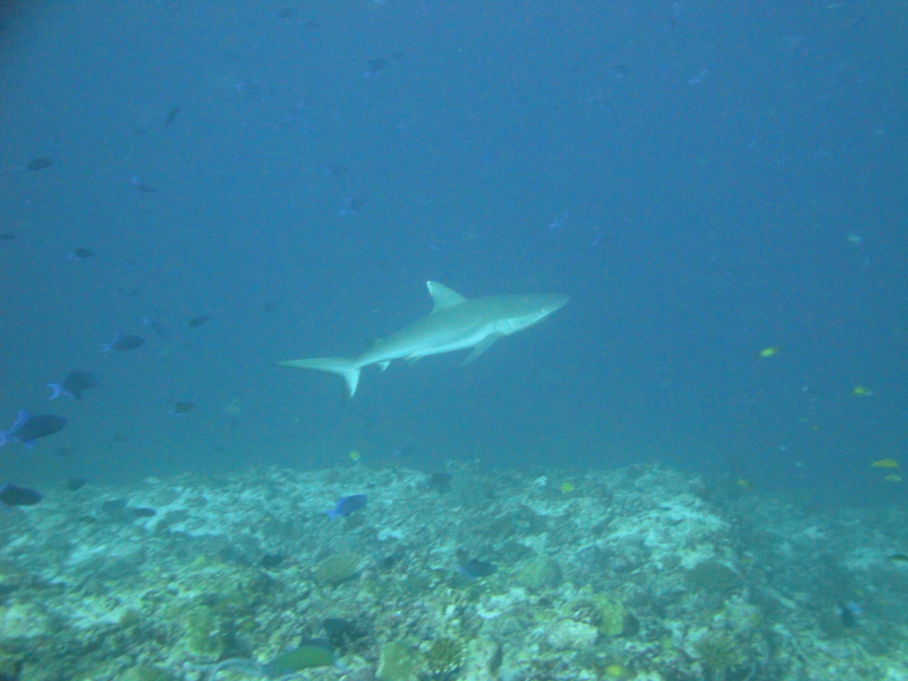 DSC00490.JPG