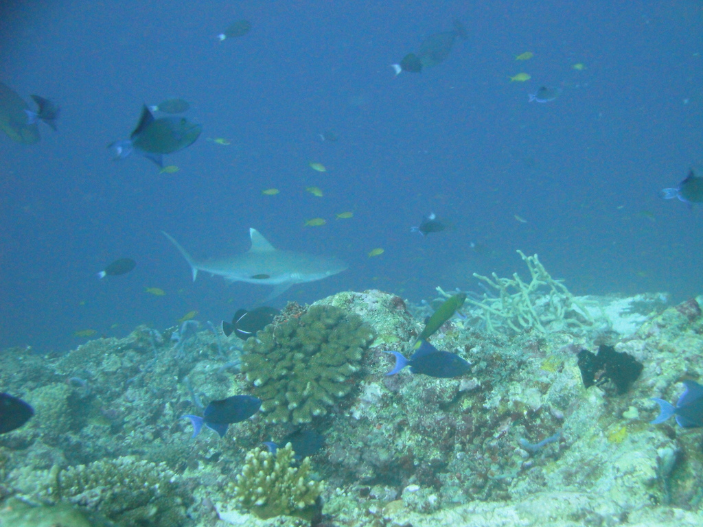 DSC00502.JPG