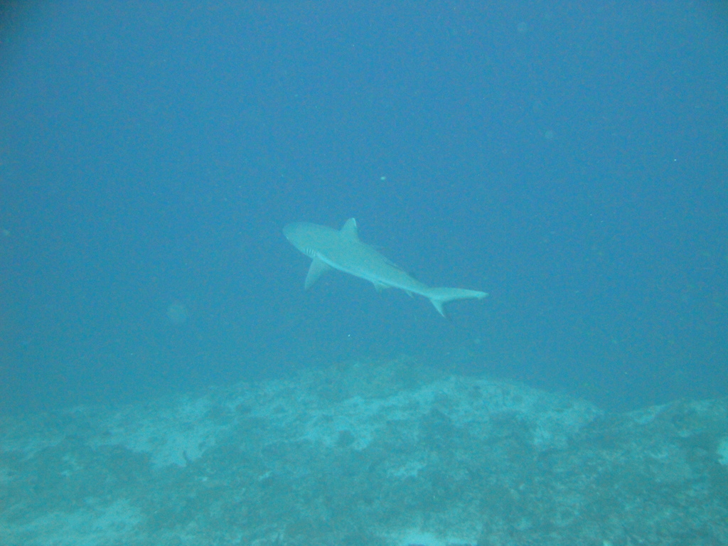 DSC00504.JPG