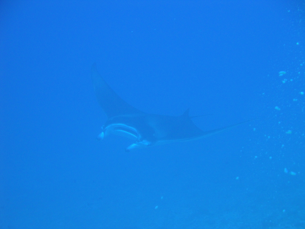 DSC00552.JPG