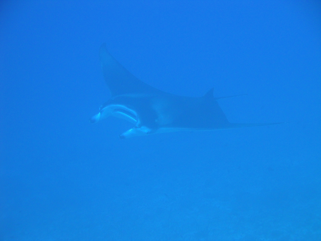 DSC00553.JPG