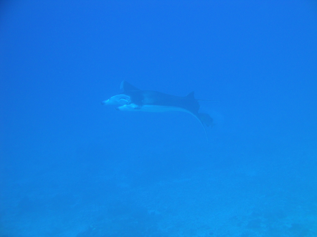 DSC00554.JPG