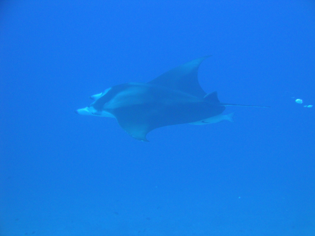 DSC00557.JPG