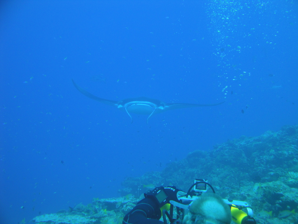 DSC00560.JPG