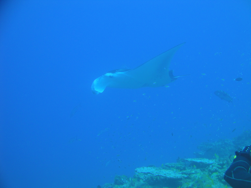 DSC00562.JPG