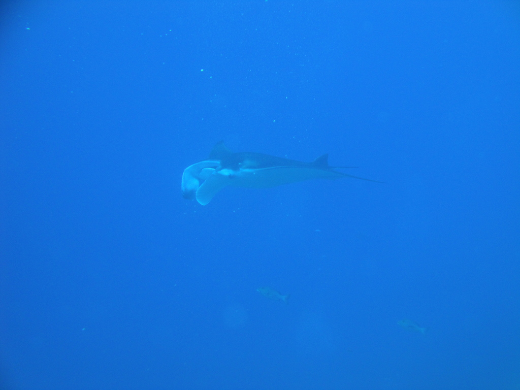 DSC00563.JPG