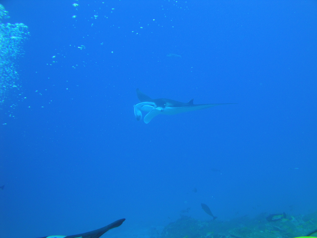 DSC00565.JPG