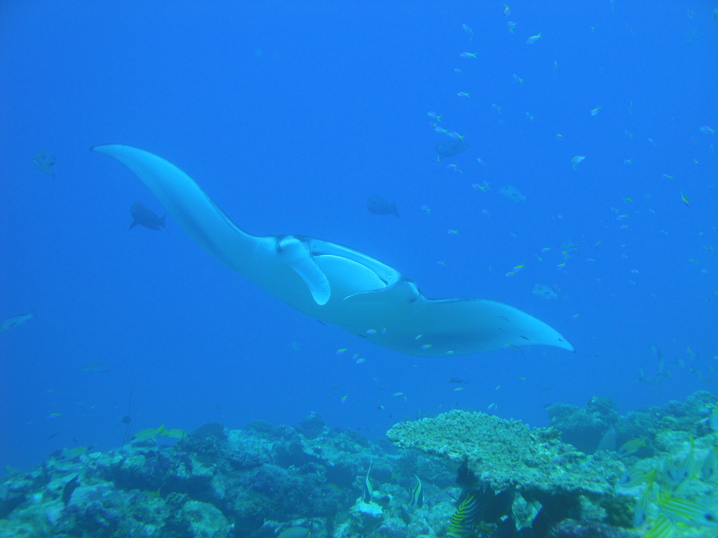 DSC00573.JPG