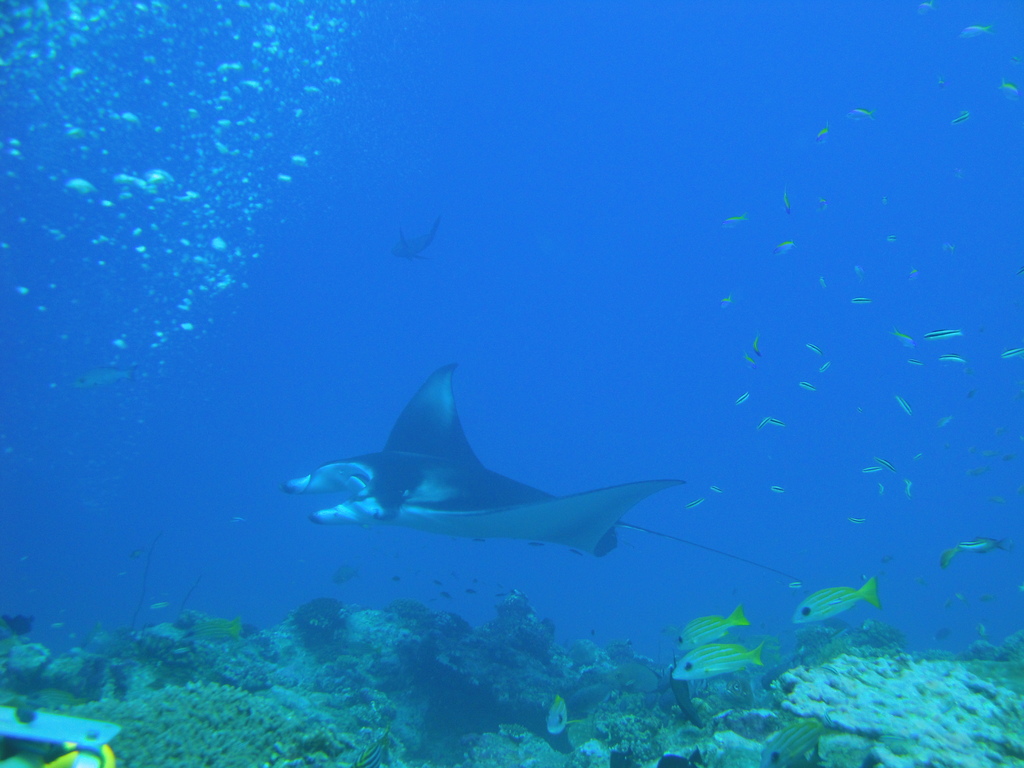DSC00584.JPG