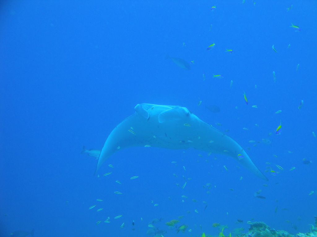 DSC00588.JPG