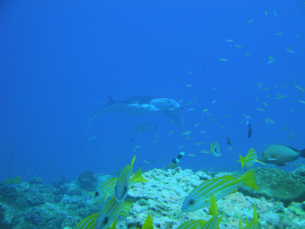 DSC00594.JPG