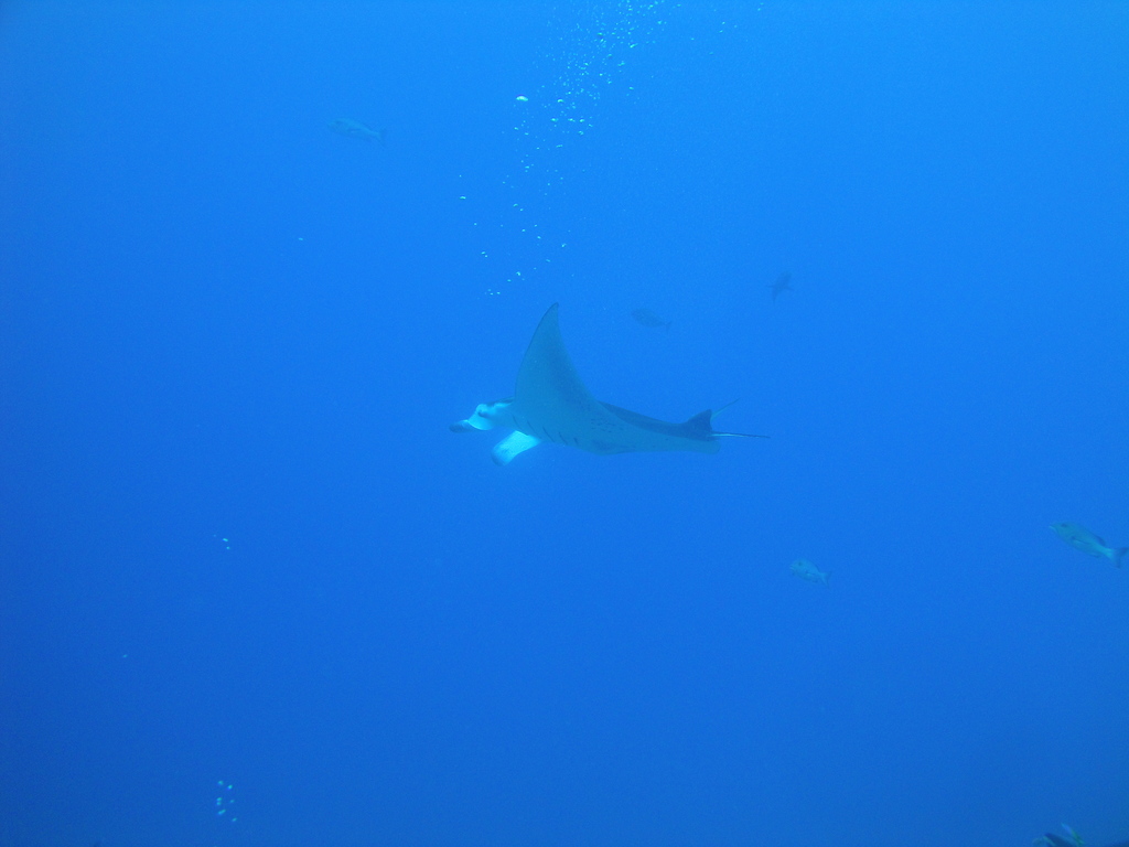 DSC00600.JPG