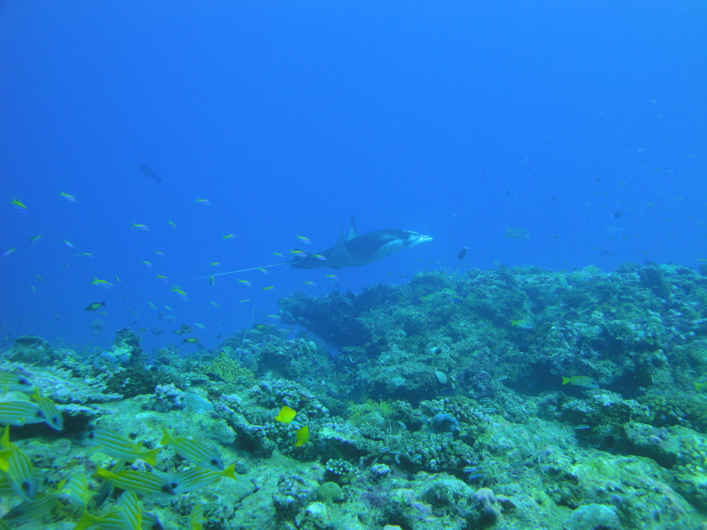 DSC00601.JPG