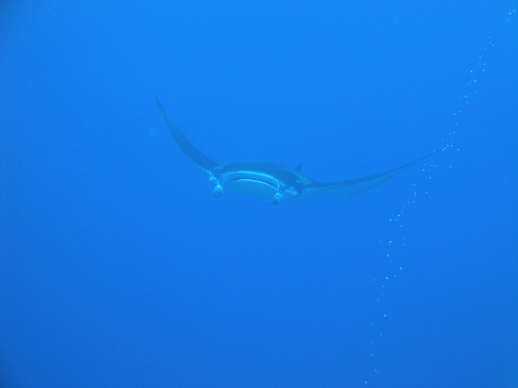 DSC00607.JPG