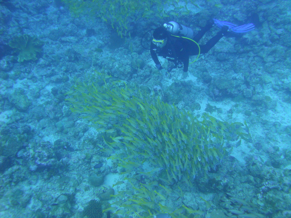 DSC00624.JPG