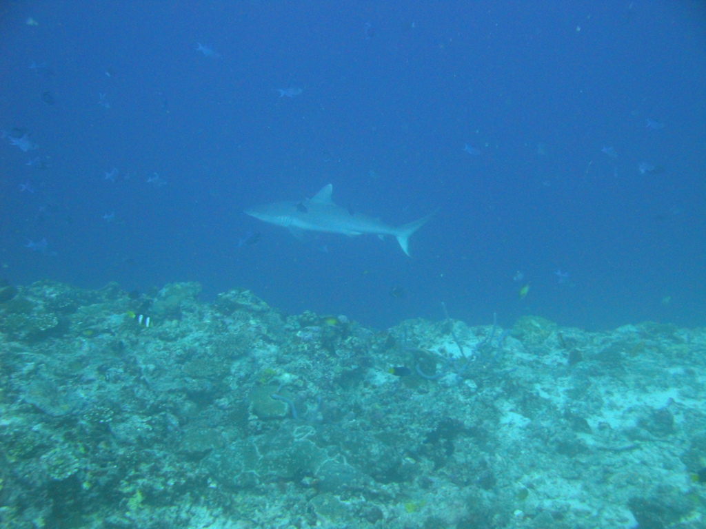 DSC00658.JPG