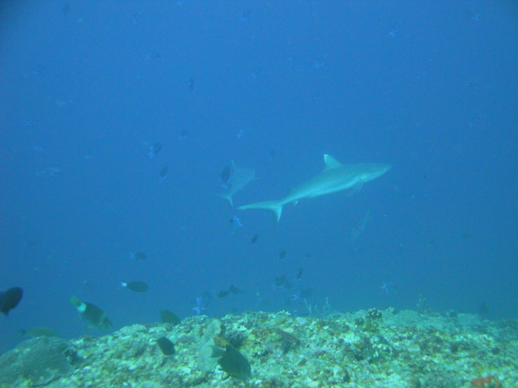 DSC00669.JPG