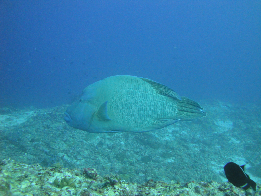 DSC00678.JPG