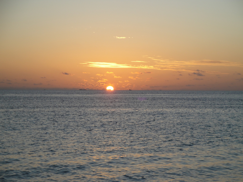 DSC00689.JPG