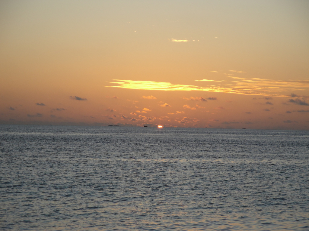 DSC00692.JPG