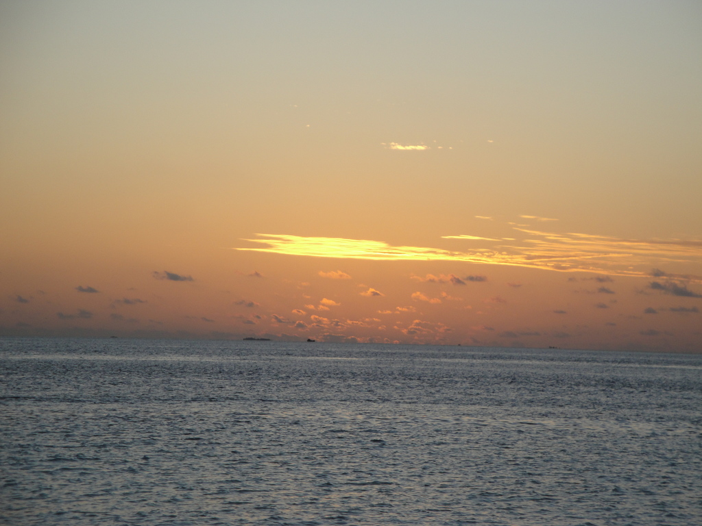 DSC00693.JPG