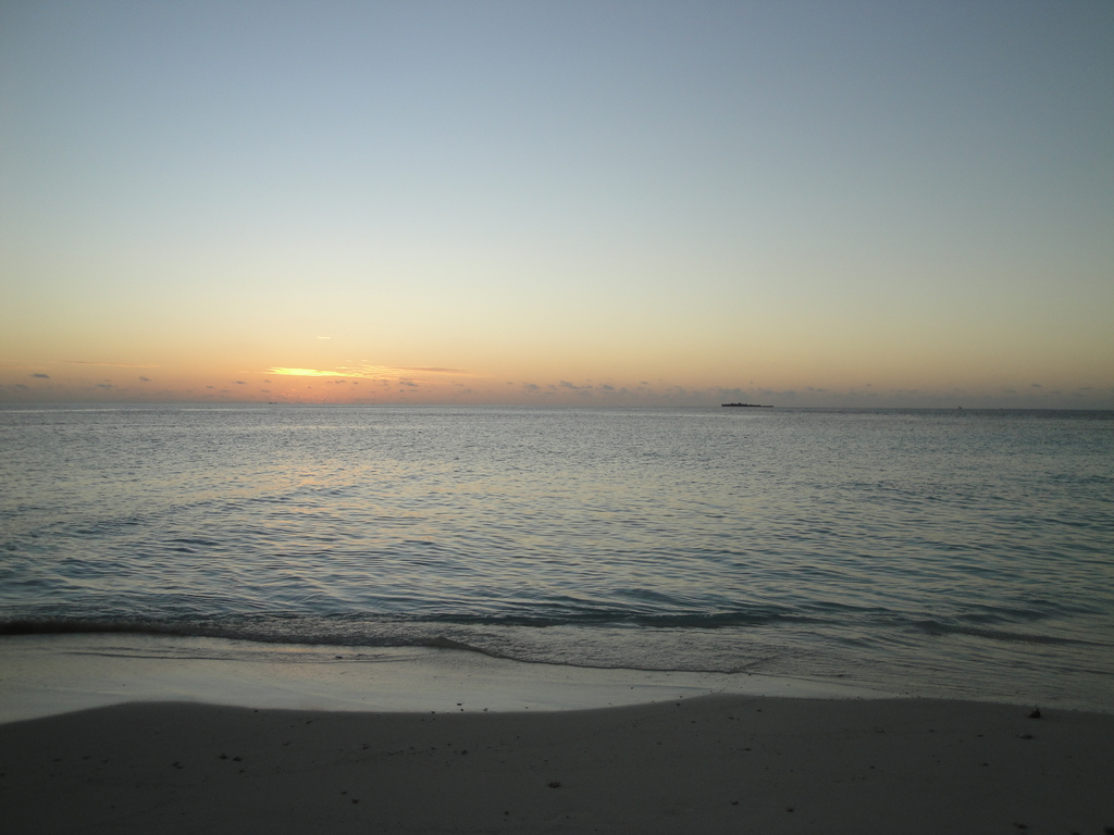 DSC00695.JPG