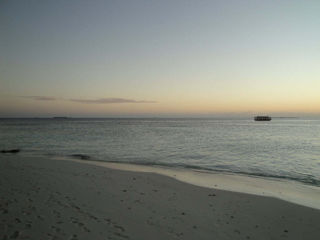 DSC00697.JPG