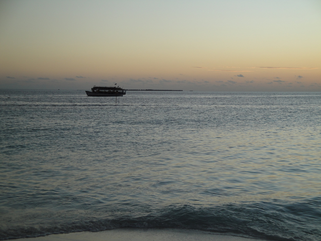 DSC00698.JPG