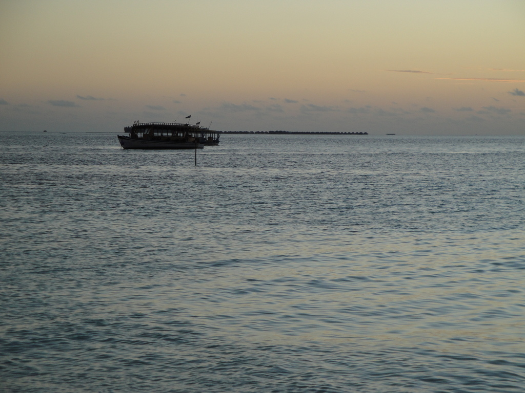 DSC00699.JPG