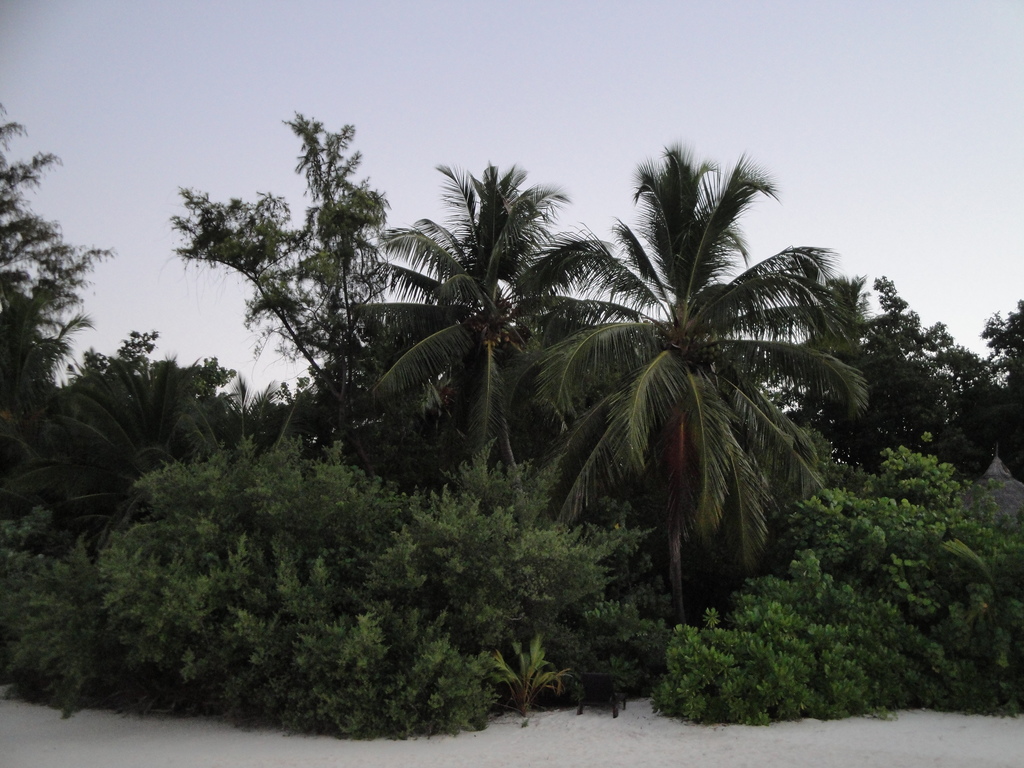 DSC00704.JPG