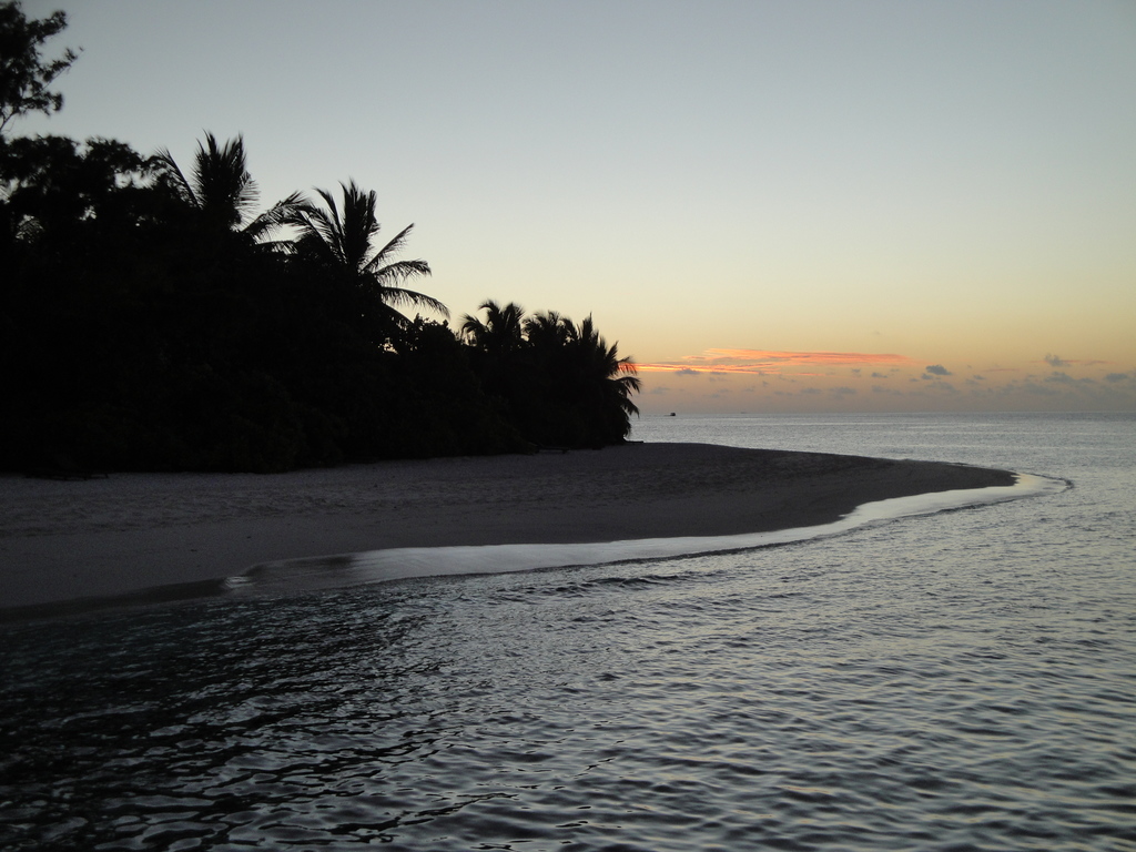 DSC00706.JPG