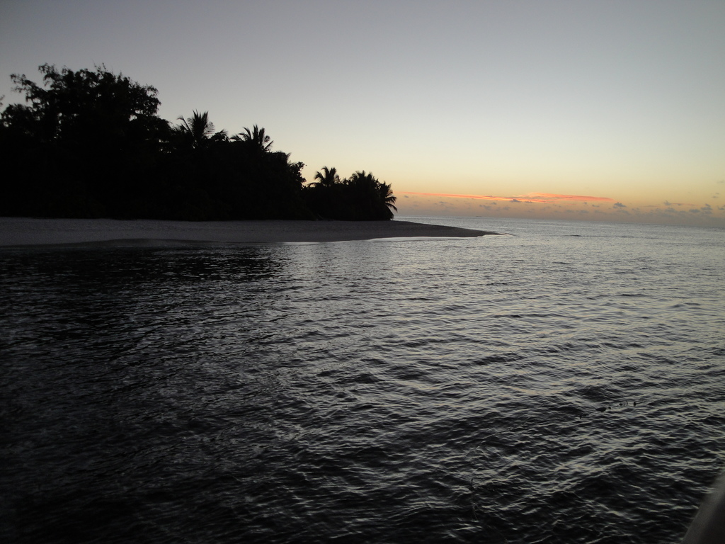 DSC00707.JPG
