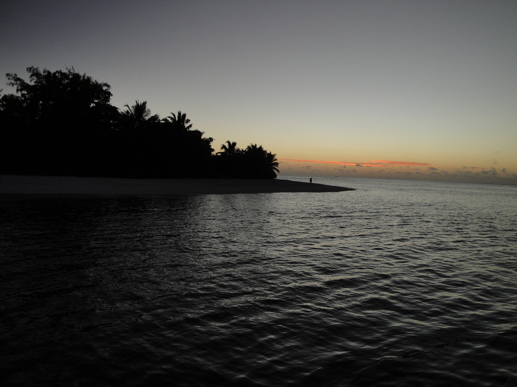 DSC00708.JPG