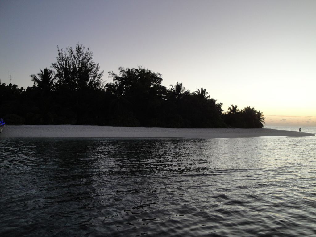 DSC00710.JPG