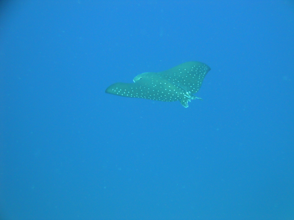 DSC00739.JPG