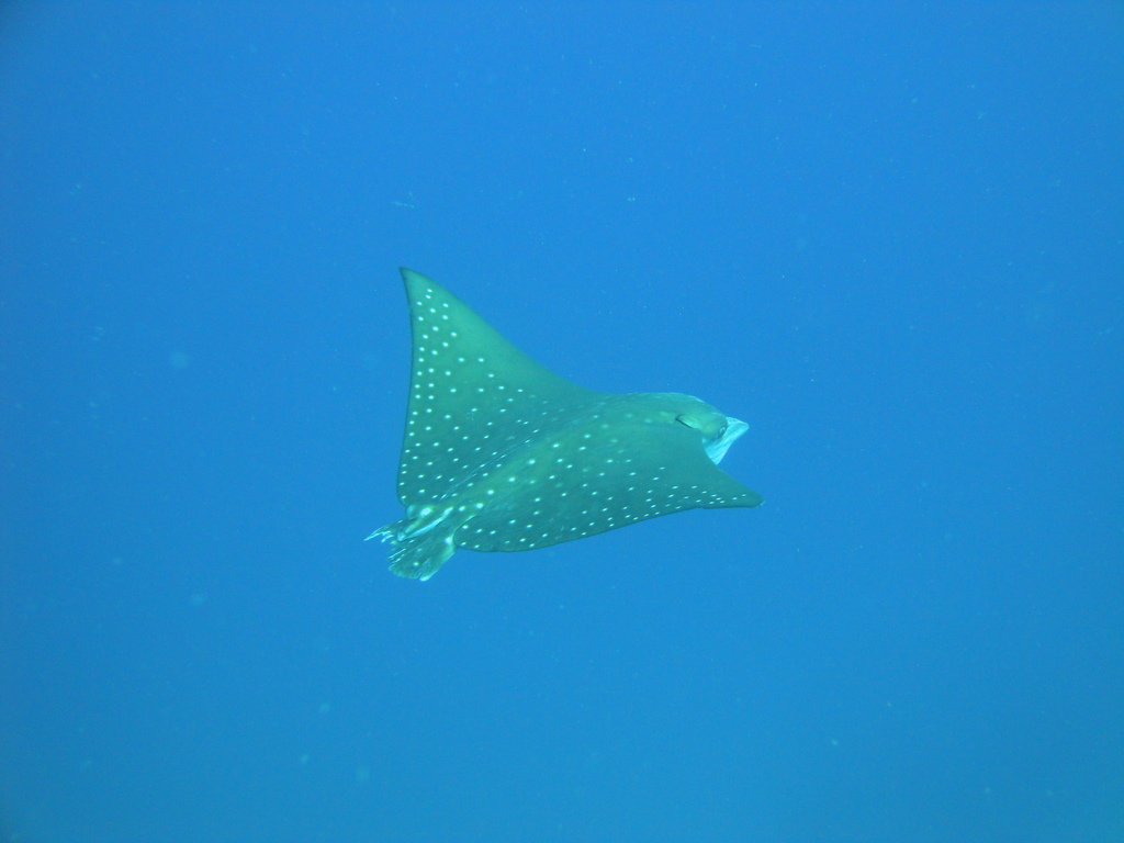 DSC00750.JPG
