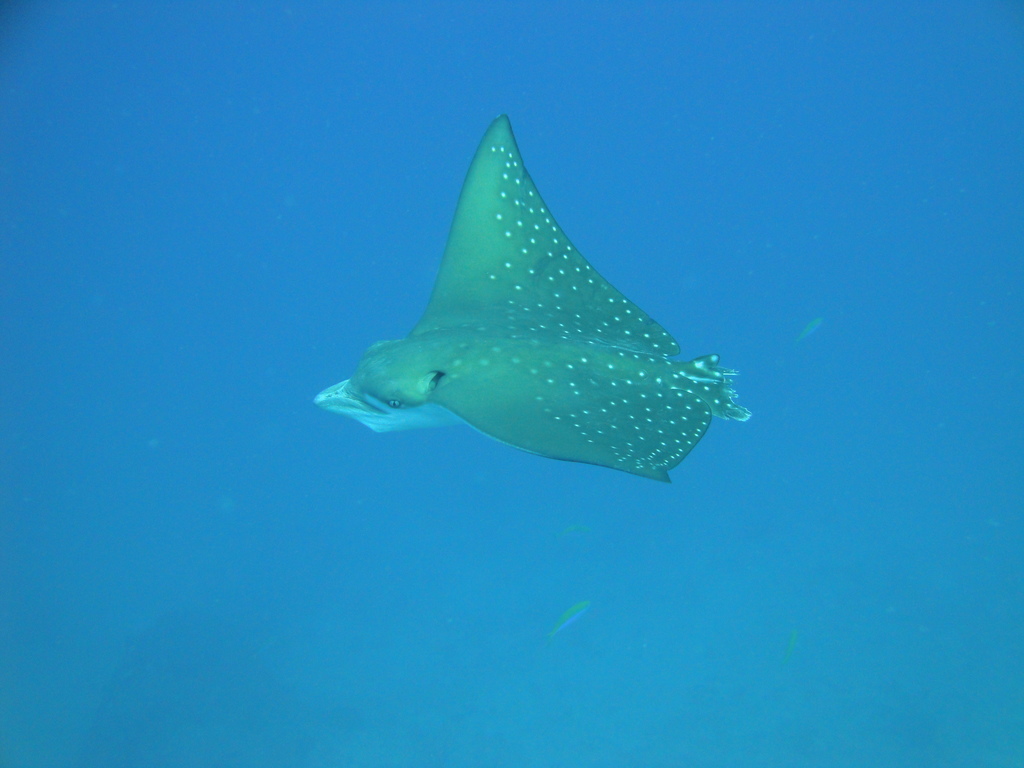 DSC00781.JPG