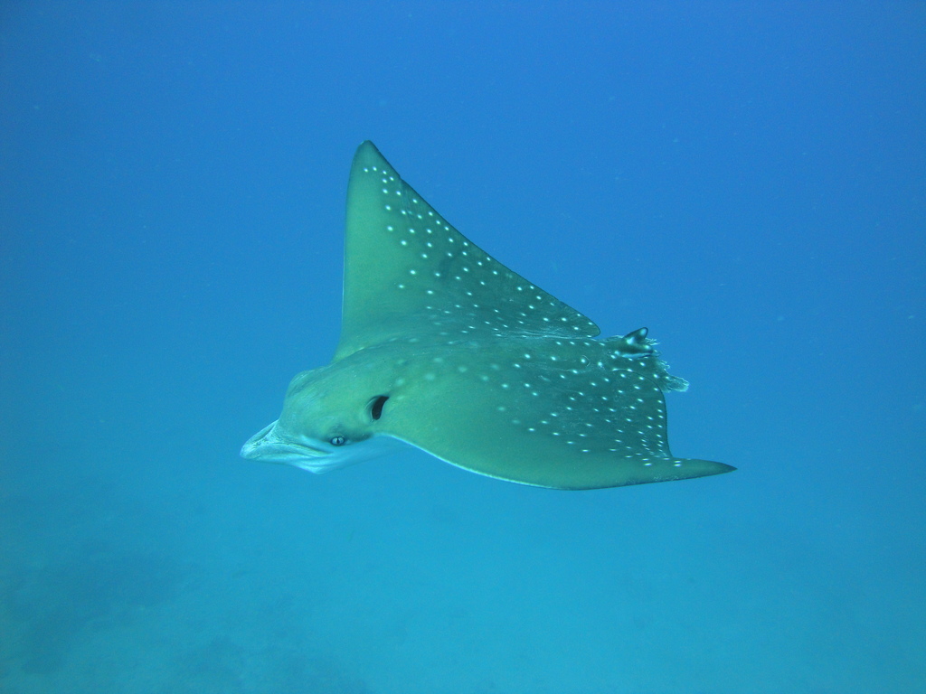 DSC00784.JPG