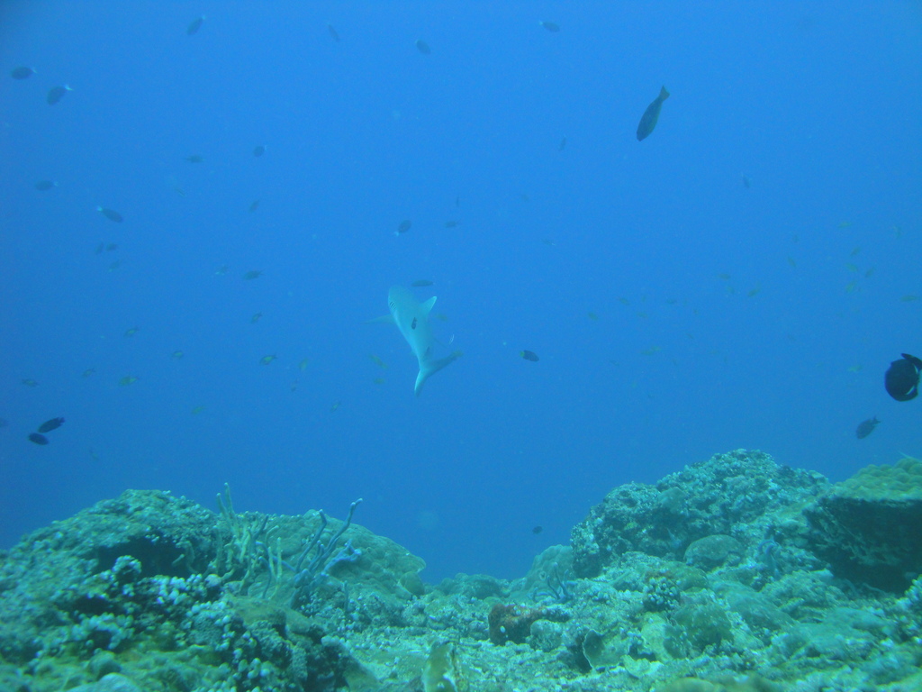 DSC00812.JPG