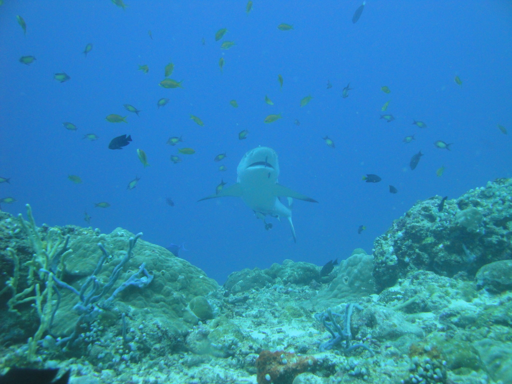 DSC00828.JPG
