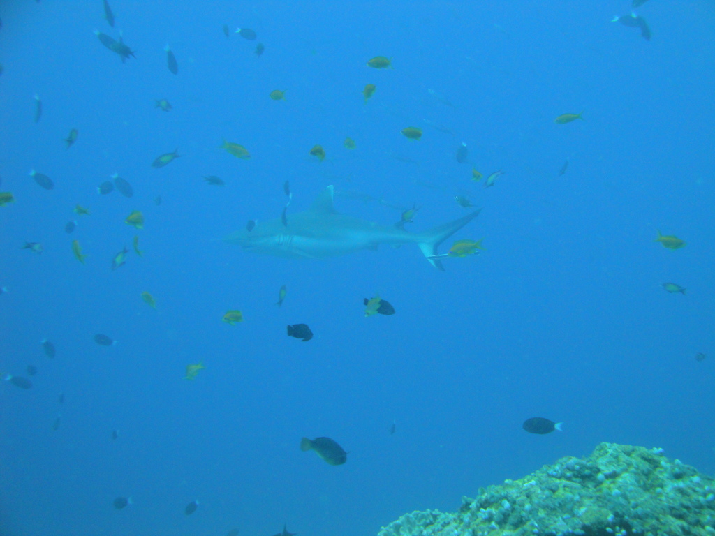 DSC00833.JPG