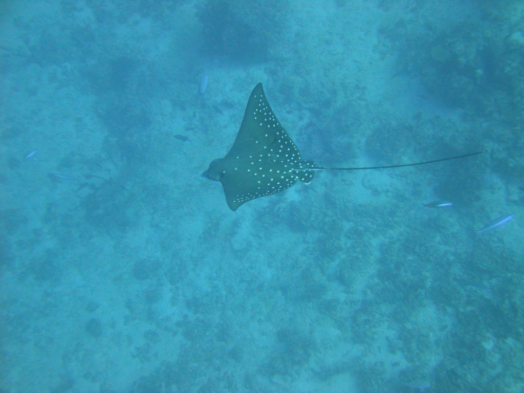 DSC00874.JPG