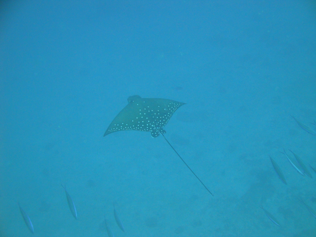 DSC00875.JPG